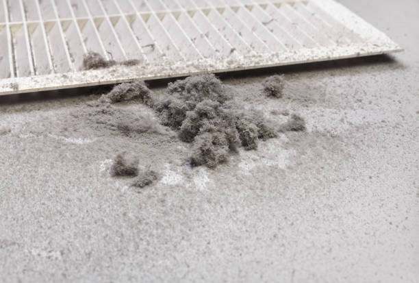 Best Air Duct Cleaning Near Me  in Limesa, CA