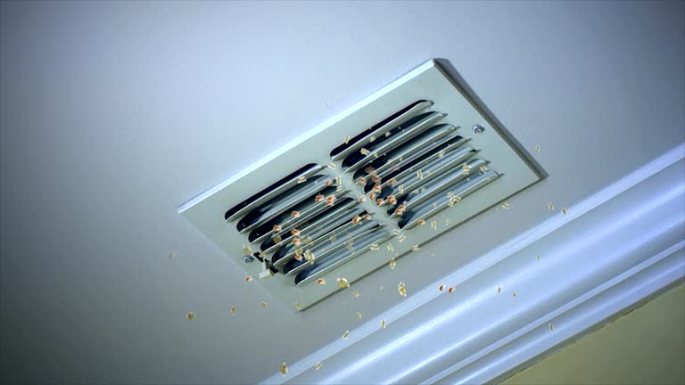 Best General Air Duct Cleaning  in Limesa, CA