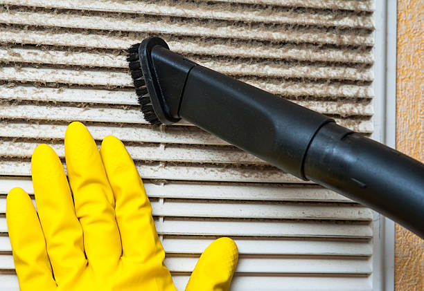 Best Home Air Vent Cleaning  in Limesa, CA